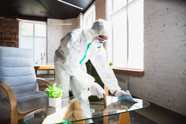 Reliable Bethel, AK Mold Removal Solutions